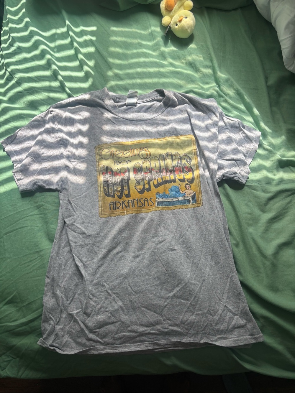 Light Gray Graphic T-Shirt - Hot Springs Arkansas